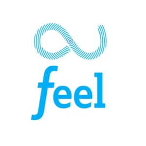 Logo de l'agence feel experience
